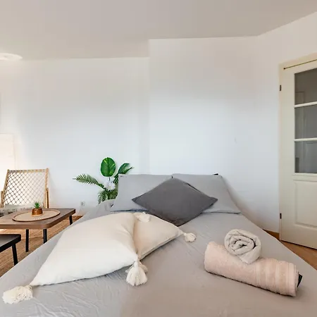 Charming T2 In Apartment Frouzins