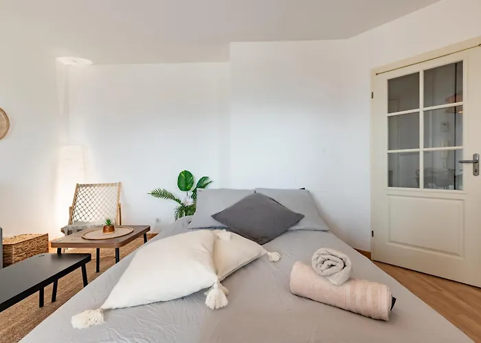 Charming T2 In Lejlighed Frouzins