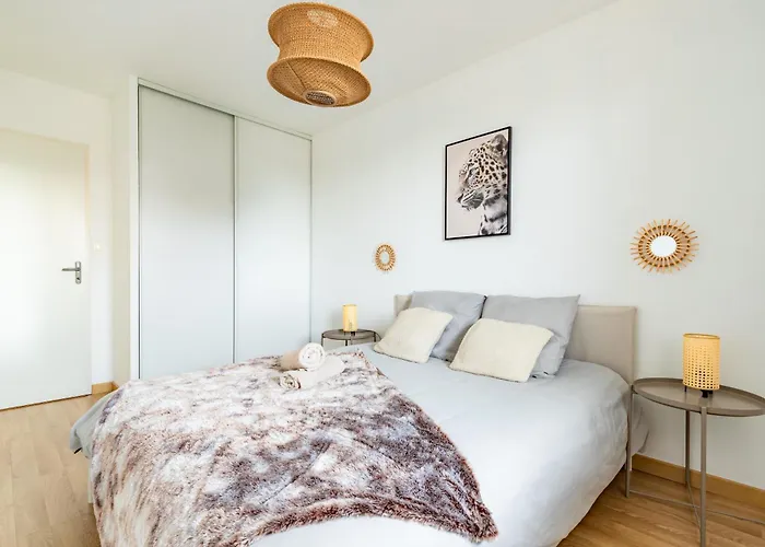 Charming T2 In Frouzins