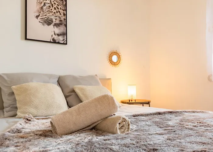 Charming T2 In Lejlighed Frouzins