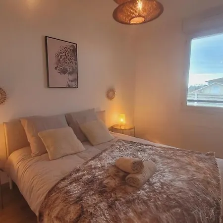 Apartment Charming T2 In Frouzins