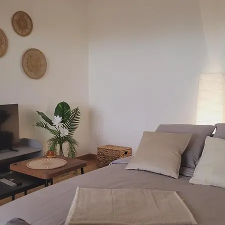 Charming T2 In Apartment Frouzins