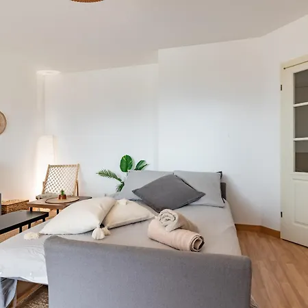 Charming T2 In Frouzins