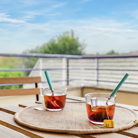 شقة Charming T2 In Frouzins